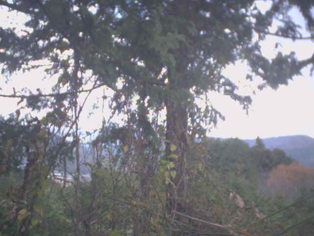 Atami: 丹那お天気カメラ