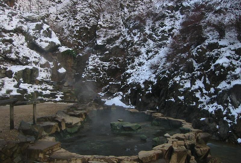 Yamanouchi: Japanese Macaque (snow monkey) in hot spring at Jigokudani Monkey park in Japan