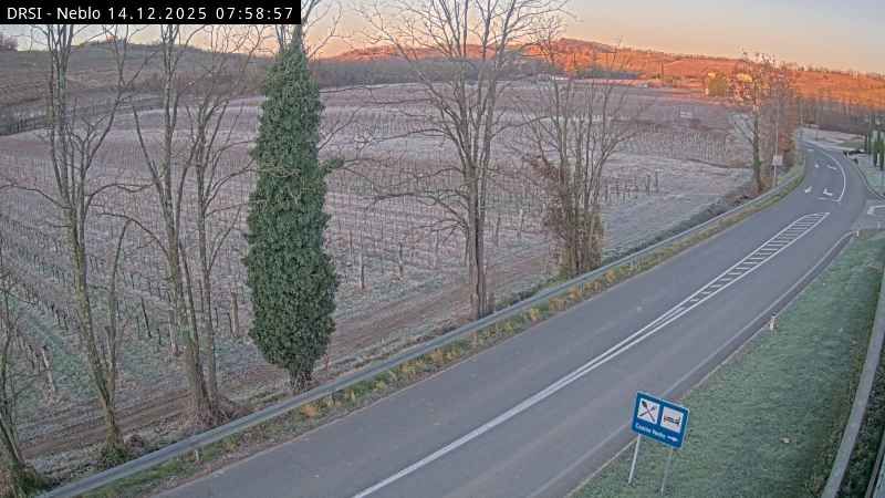 Dobrovo: R2-402 - Neblo, Neblo