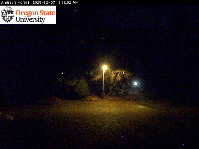 Rainbow: H.J. Andrews Experimental Forest