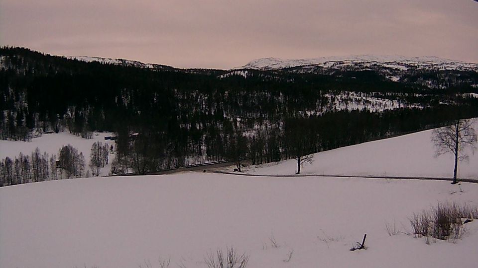 Storas: Garberg, Meldal. Utsikt mot Tifjellet