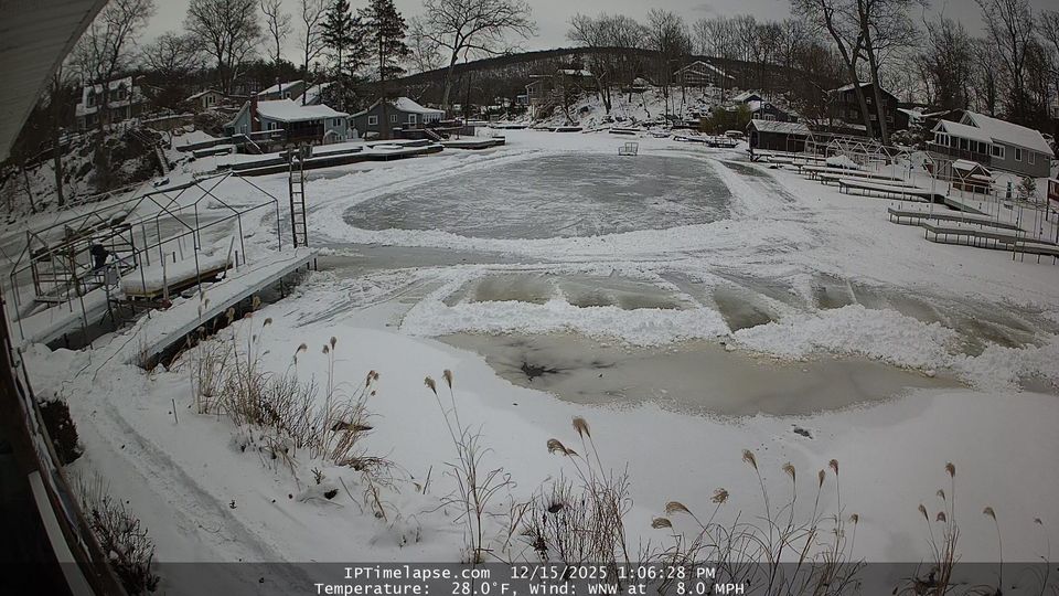 Newton: Live view of Frenches Grove, Cranberry Lake