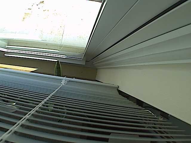 Clemson: Gantt Circle - Tillman