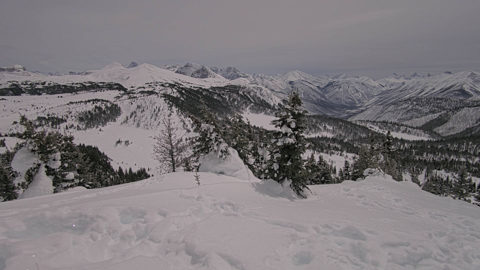 Regional District of East Kootenay: Sunshine Meadows Viewing Deck