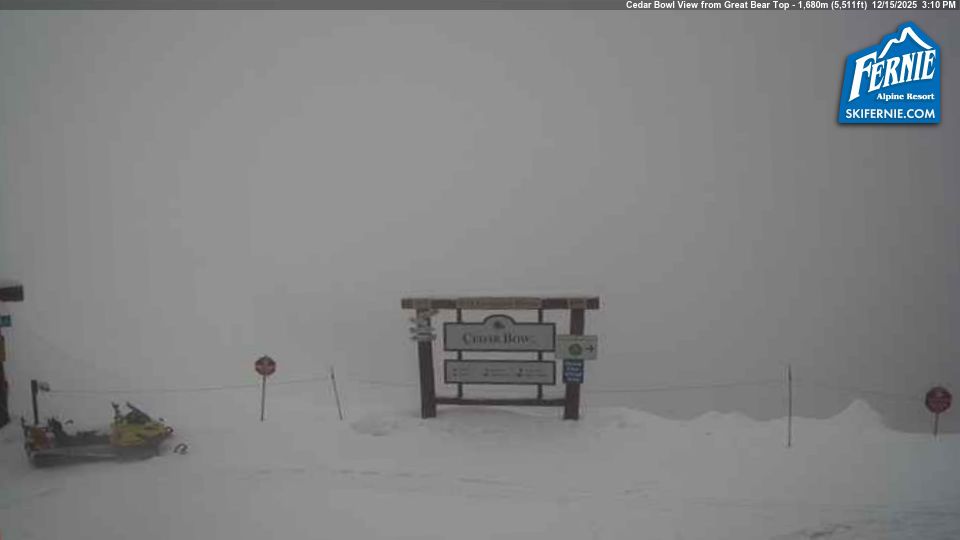 Area A: Cedar Bowl Drive