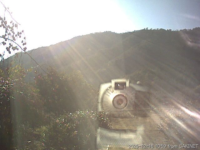 Shiso: Hyogo - Yamasaki