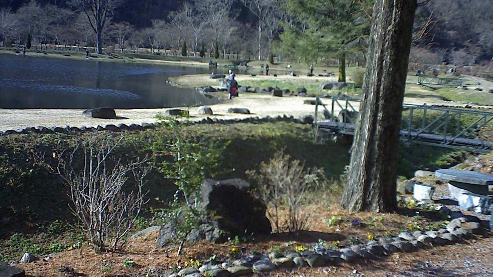 Nasu: Fukushima - Shirakawa - Lake - Fishing