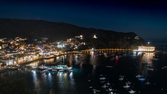 Avalon: Catalina Island - Bay Cam