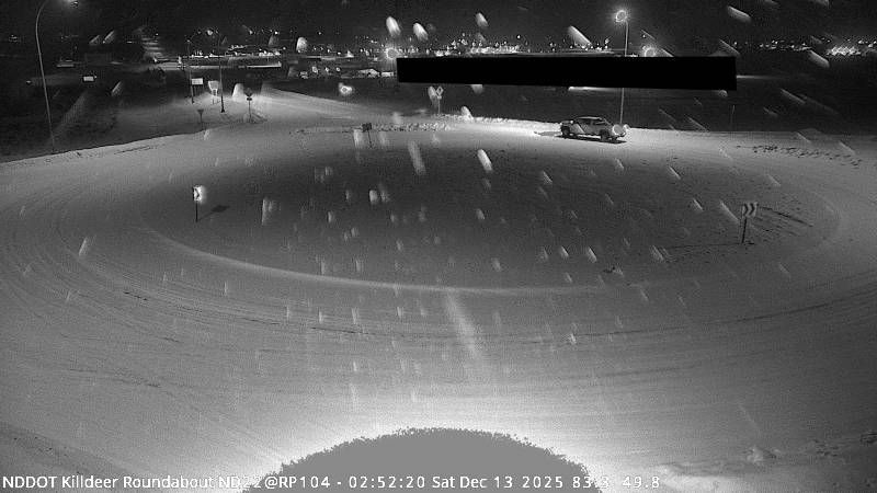 Killdeer: Roundabout