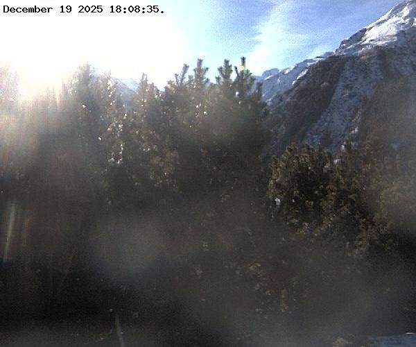 Cogne: Gran Paradiso Webcam