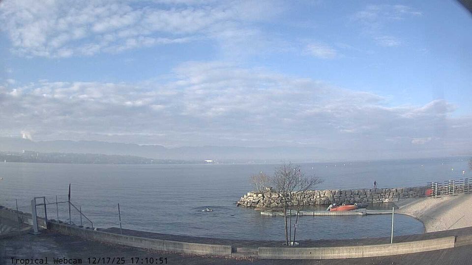 Cologny: Tropical Corner