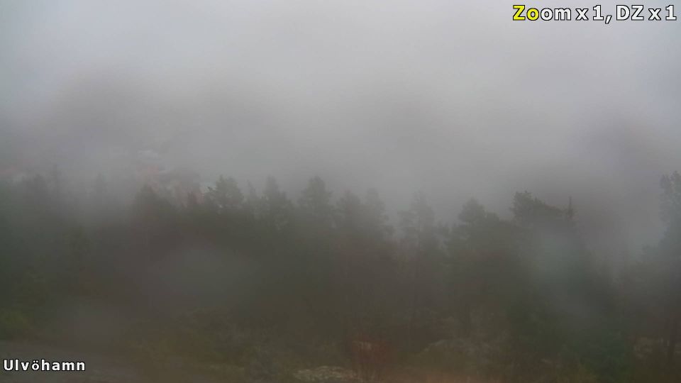 Nätra District › East: Ulvöhamn, Höga Kusten