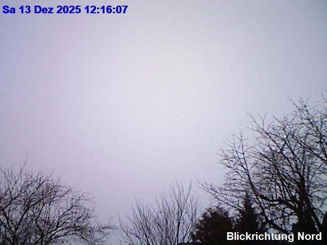 Mainburg: Wetter-Webcam
