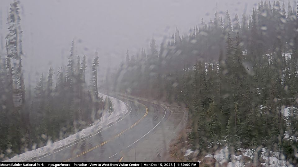 Paradise: Mount Rainier NP, Looking west from the Jackson Visitor Center