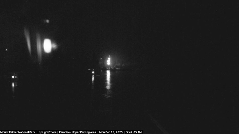 Paradise: Mount Rainier National Park