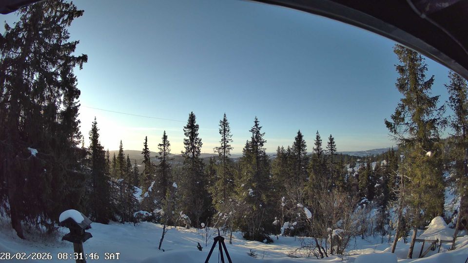 Briskebyen: Nordfjellstølen