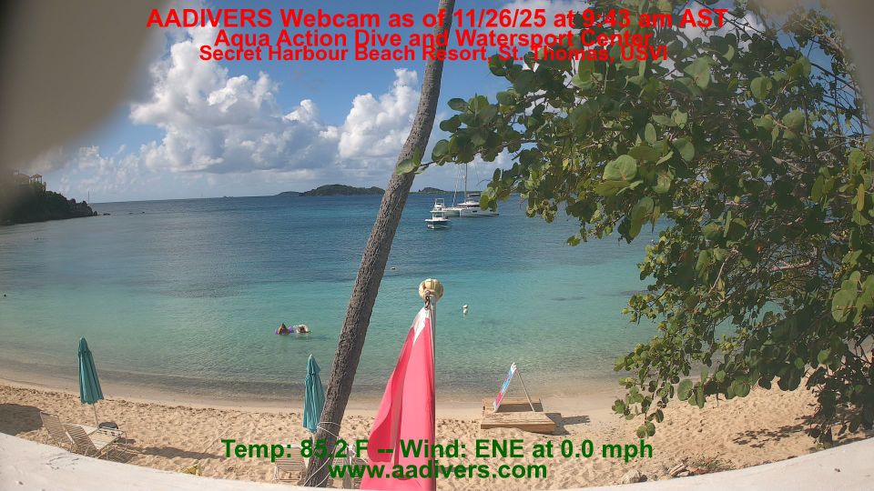 Шарлота Амалија