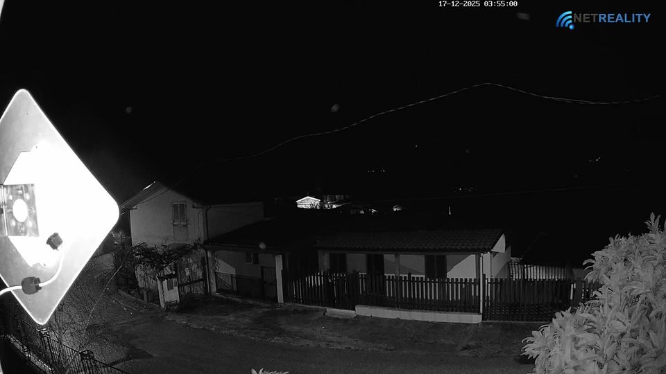 Tagliacozzo: Gallo di