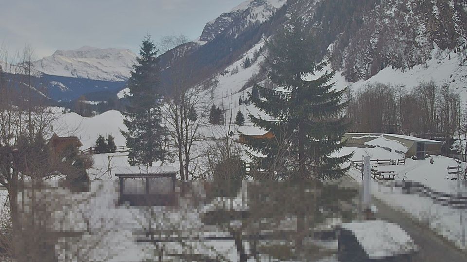Rauris: Bucheben