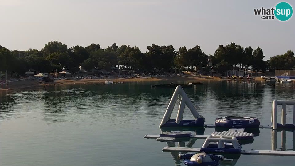 Šimuni