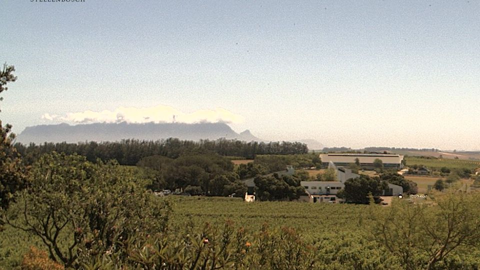 Stellenbosch Local Municipality