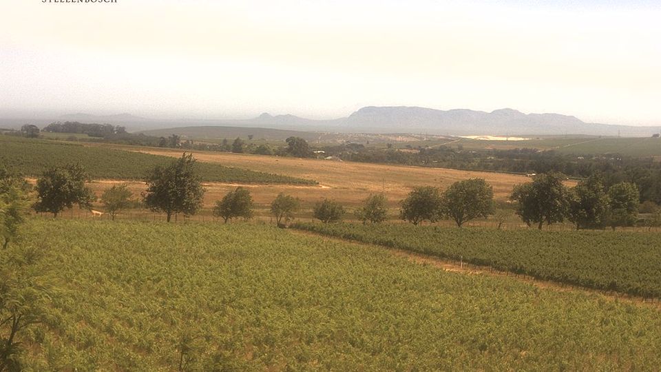 Stellenbosch Local Municipality