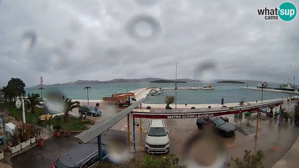 Biograd na Moru: Coast King Petar Krešimir IV