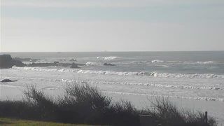 Siouville-Hague › South: Live