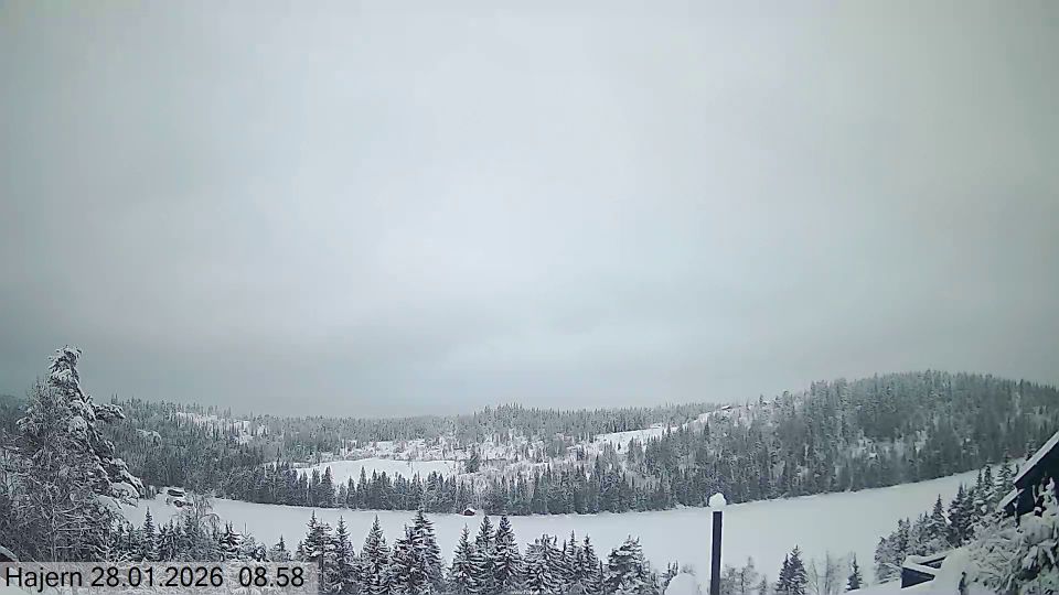 Hvittingfoss › North: Kongsberg