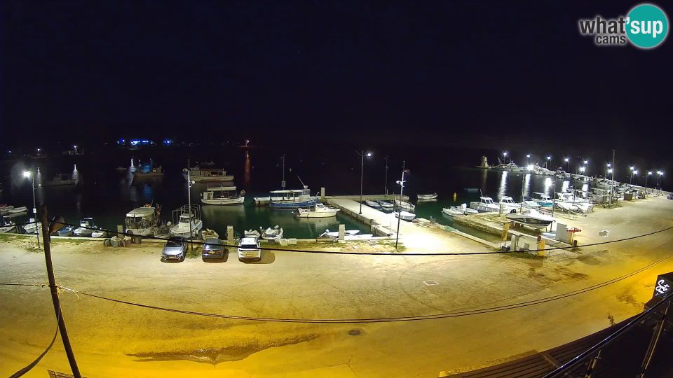 Savudrija: webcam - marina