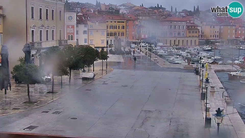 Rovinjsko Selo: Seaside promenade and marina in Rovinj webcam