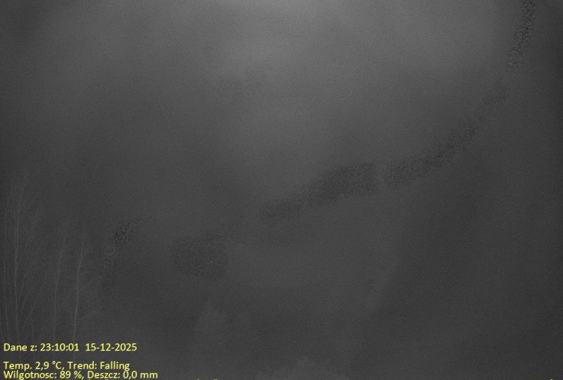 Niesiolowice: Niesiołowice_N