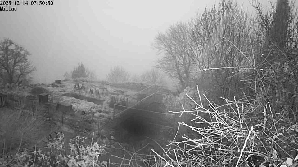 Nant: Cantobre - Midi-Pyrénées, France: Dourbie Valley