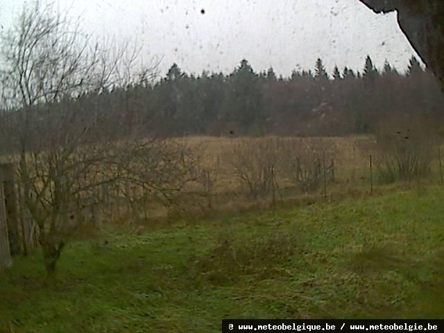 Waimes: Botrange - Walloon, Belgium