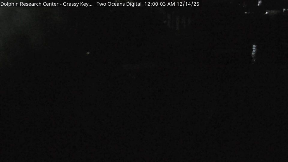 Marathon: Grassy Key - Floryda, Stany Zjednoczone