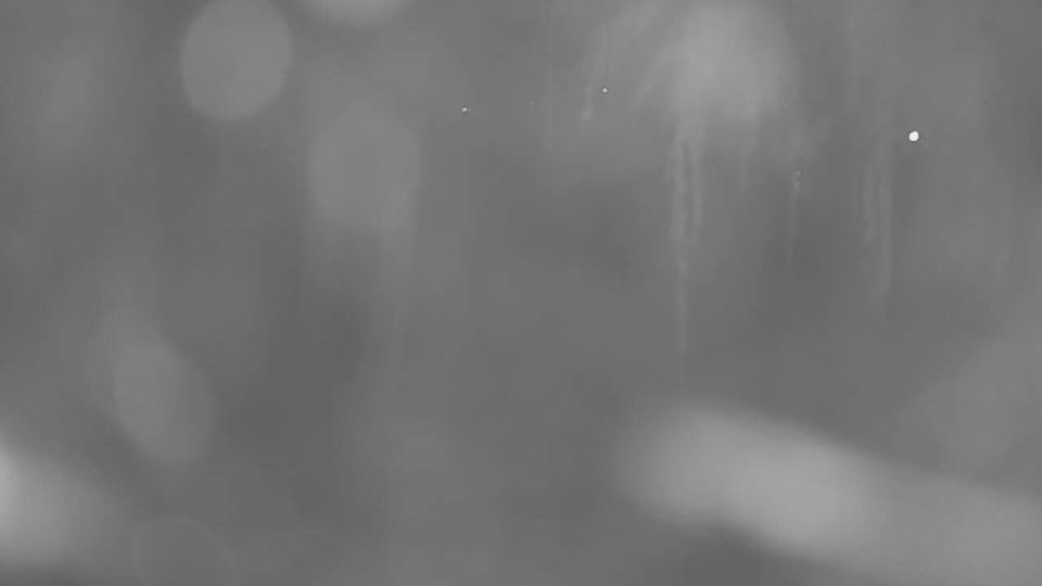 Фюрстенберг (Хафель)