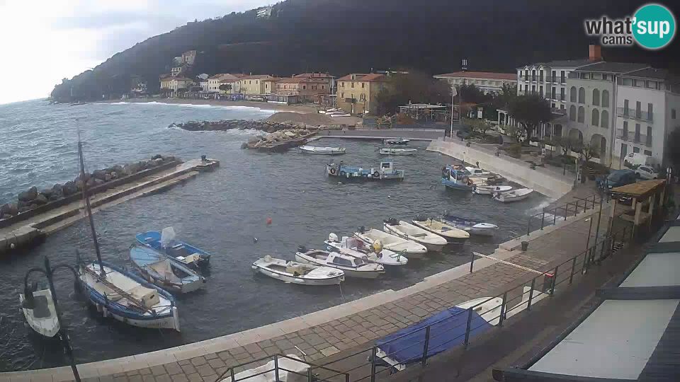 Moscenicka Draga: webcam live