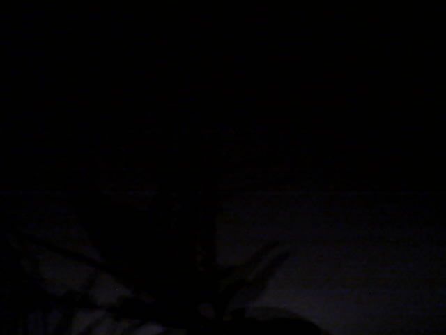 Erbstetten › West: Burgstetten - Baden-Württemberg, Germany