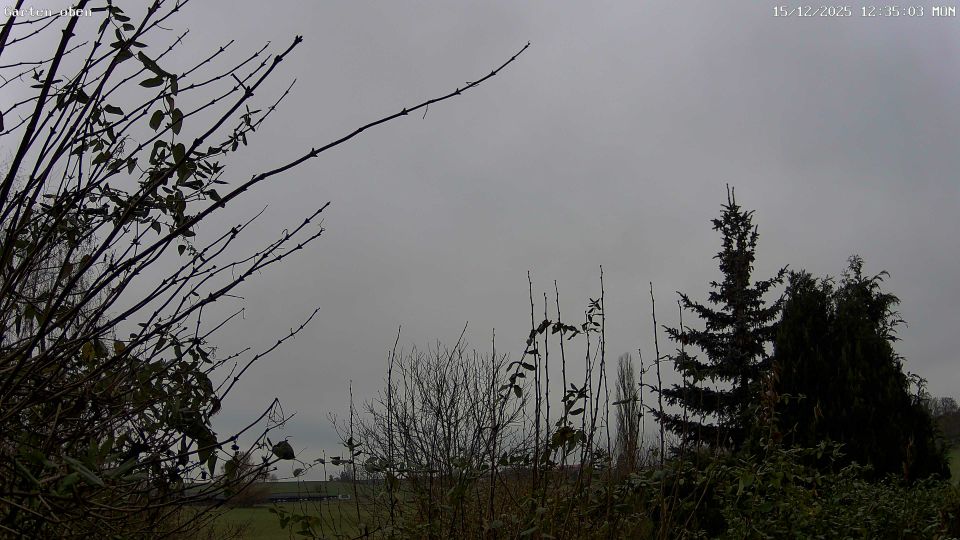 Kirchhain › South-west: Kleinseelheim, Deutschland: Blick über unseren Garten hinweg nach SSW
