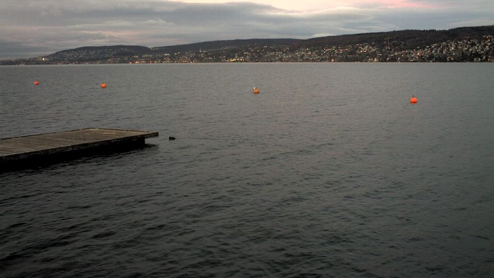 Thalwil › East: Lake Zurich