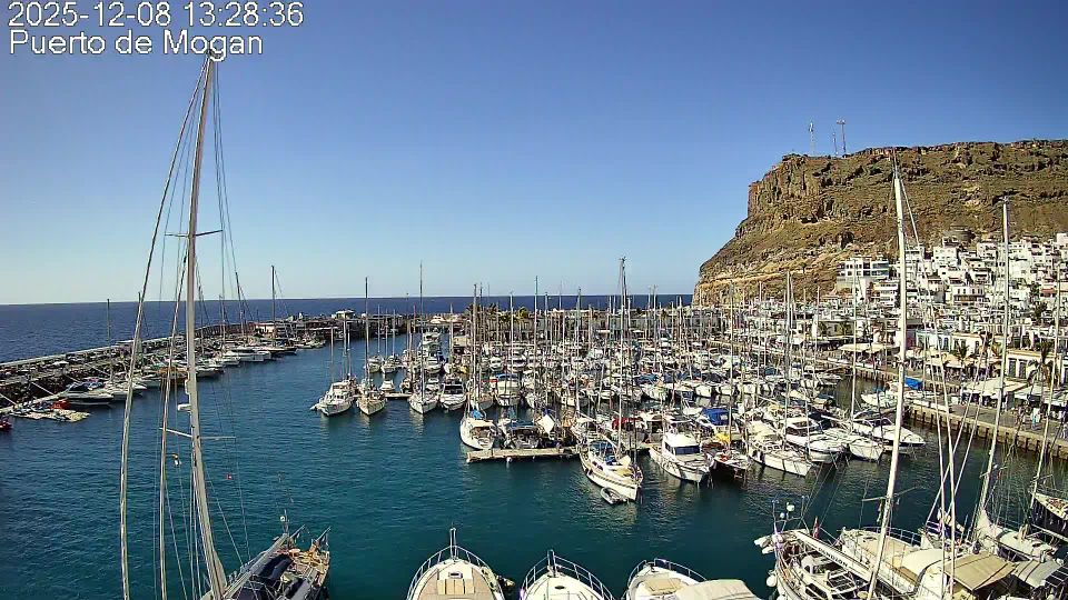 Playa de Mogan › West: Puerto Mogan