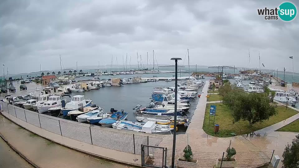 Tkon: Webcam Live - Marina