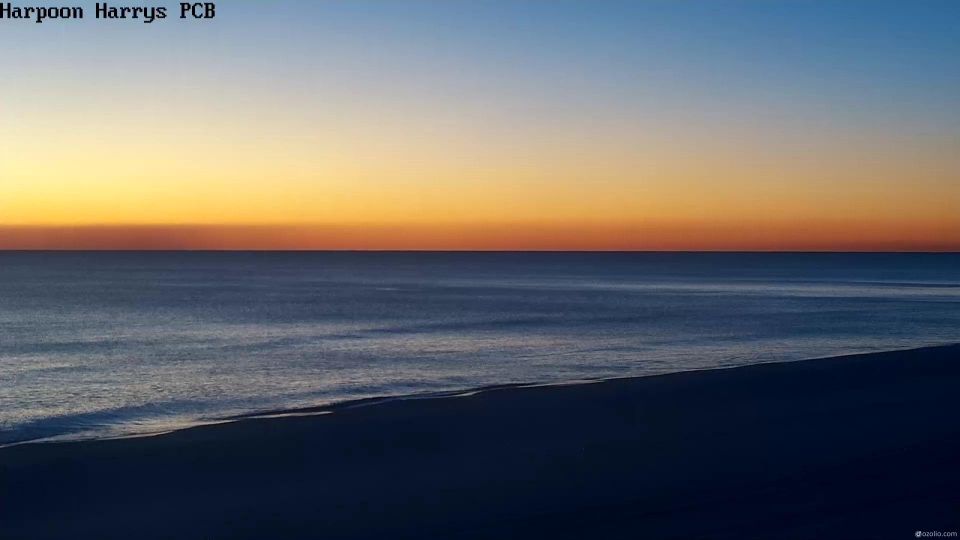 Panama City Beach: Florida, Stati Uniti: Harpoon Harry's°