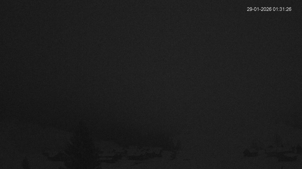 Triesenberg › East: Nenzinger Himmel