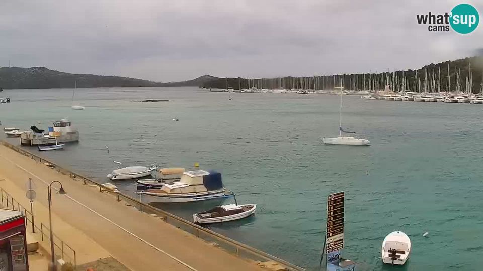 Rogoznica: Seashore Kneza Domagoja