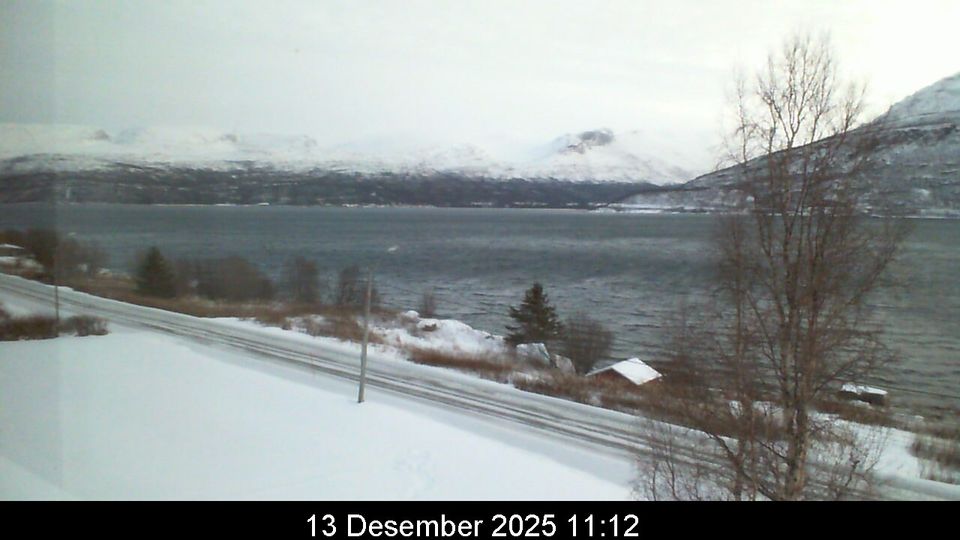 Skibotn › East: Rasteby