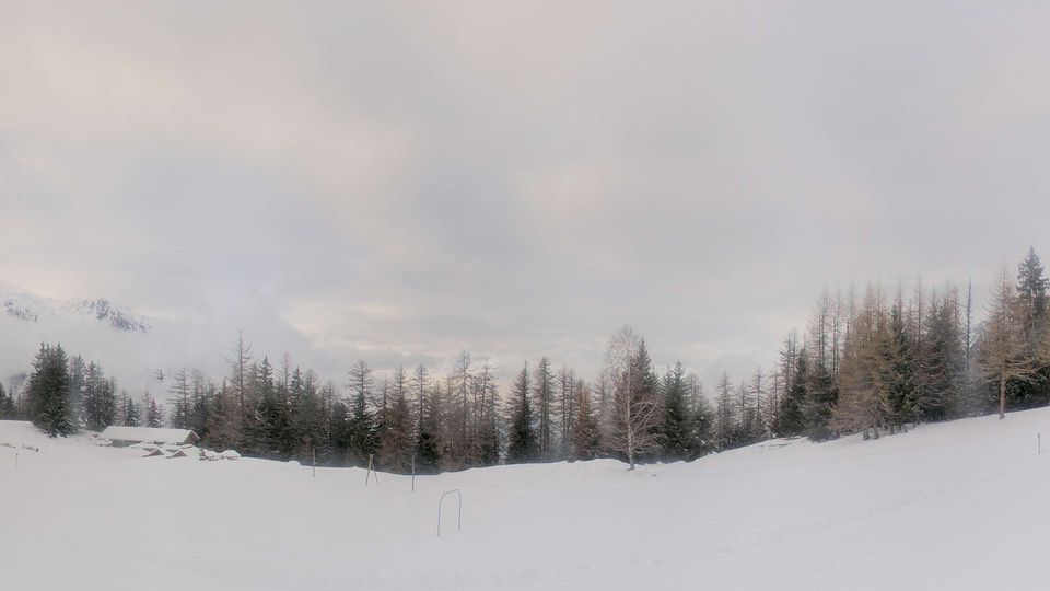 Sainte-Foy-Tarentaise: Rhône-Alpes, France: Plan Bois