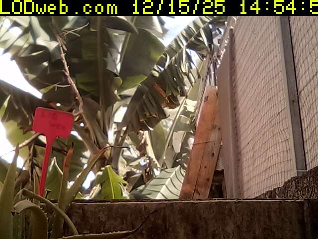 Le Tampon › South: Trois Mares