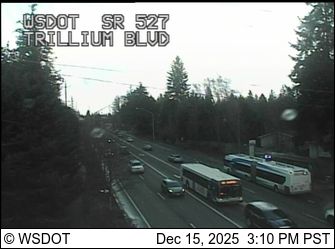 Mill Creek: SR 527 at MP 8.1: Trillium Blvd
