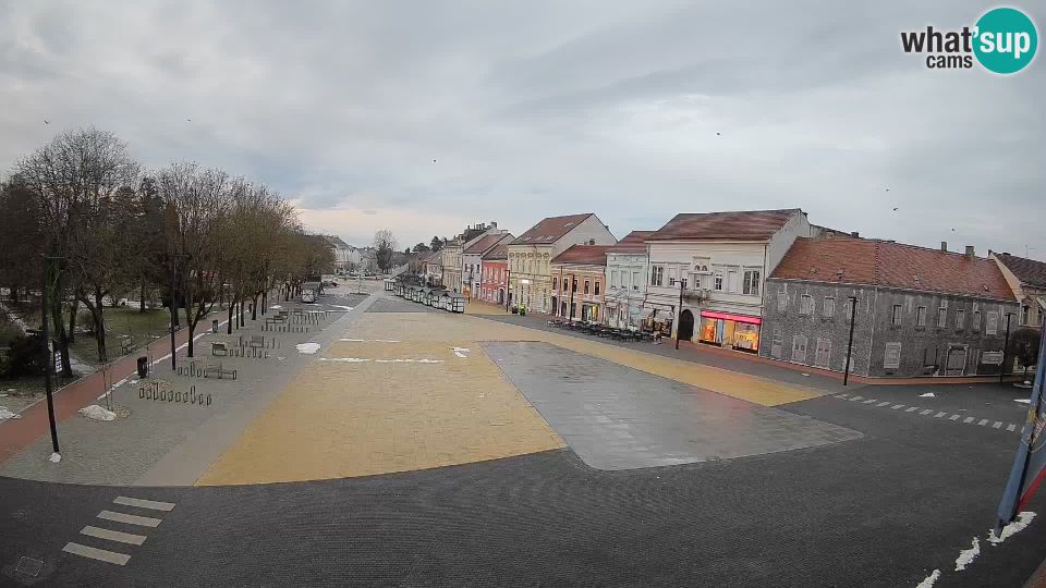 Pozeska Koprivnica: Koprivnica, Poligon